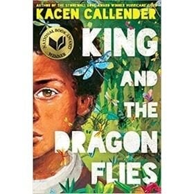 Children’s Books with Black Characters, King and the Dragon Flies