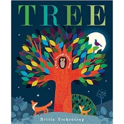 Spring Books for Children, Tree A Peek Through Picture Book.